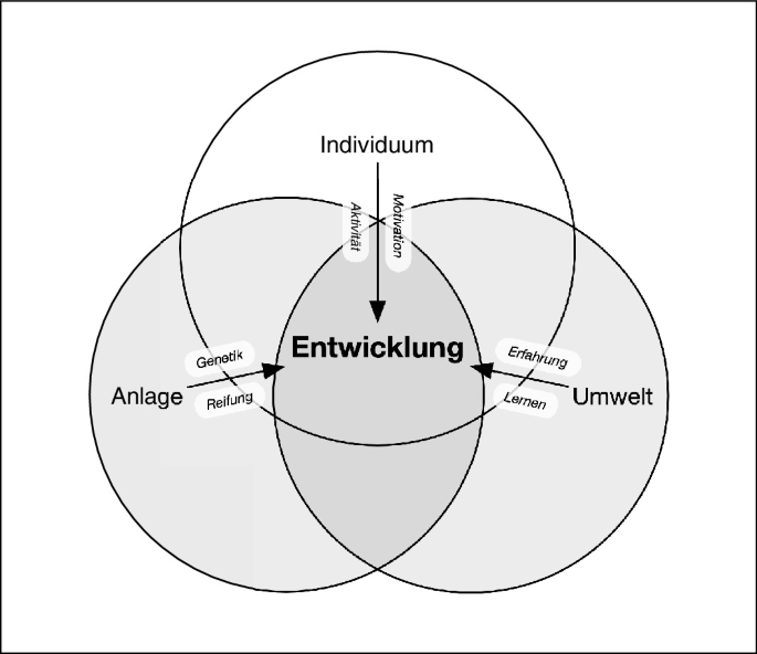 Rahmen und Forschungsstand.