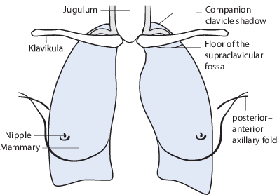 figure 26