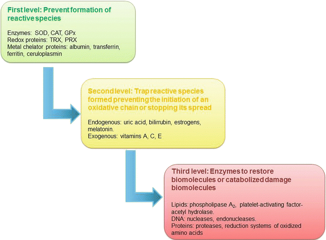 glutathione hot flashes 15 Benefits: How to Improve Your Mind & Body International Journal of Molecular Medicine