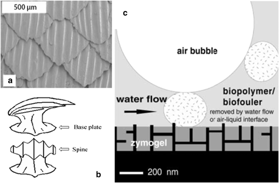 figure 16