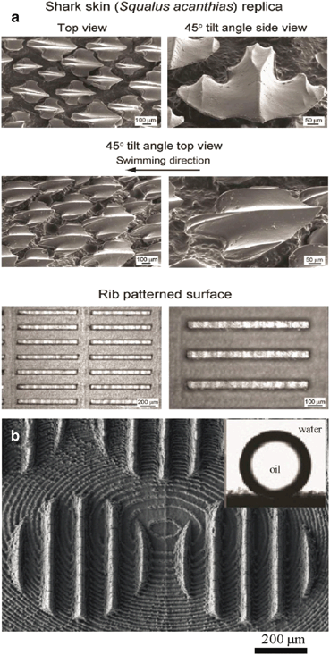 figure 18