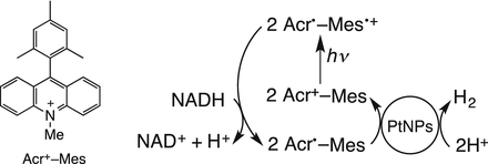 scheme 11