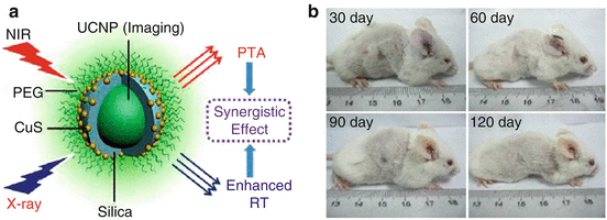 figure 17