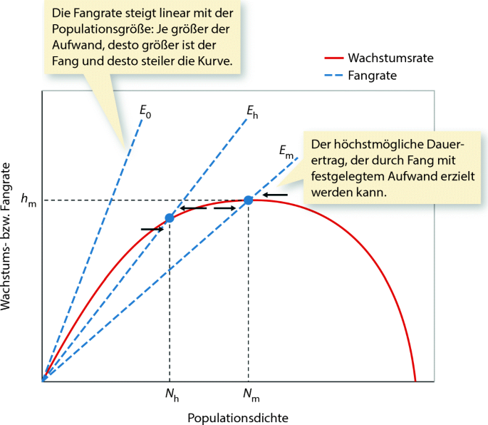 figure 32