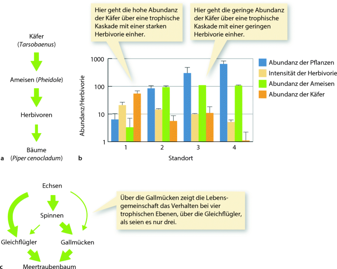 Meeresnahrungsnetz mit trophischen Ebenen