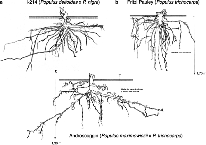 figure 22