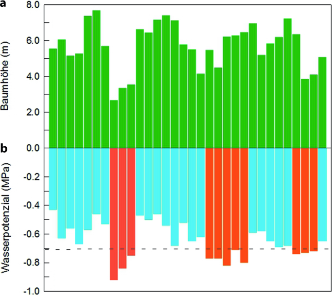 figure 28