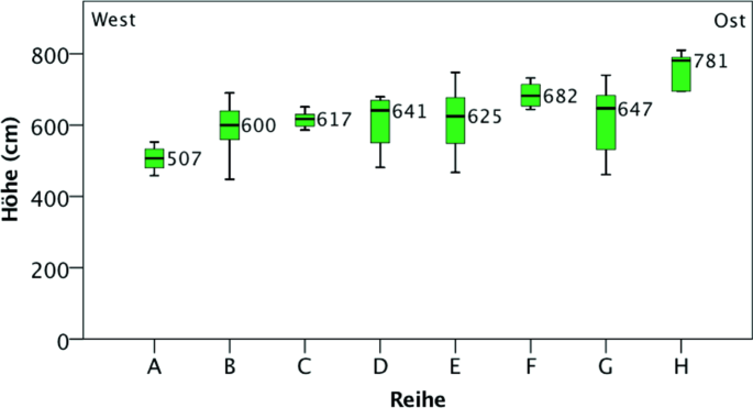 figure 31