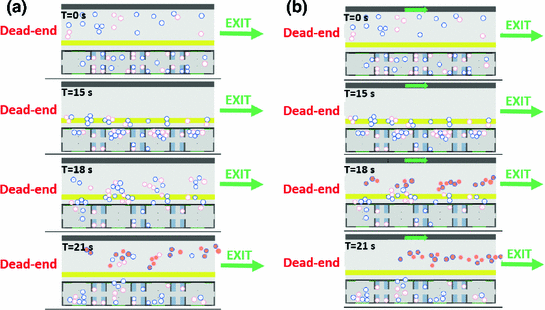 figure 42