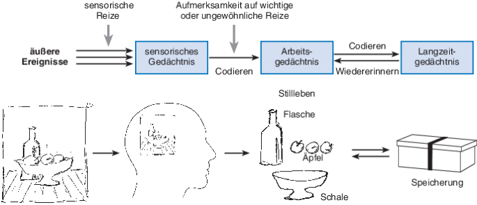 Gedächtnis | SpringerLink