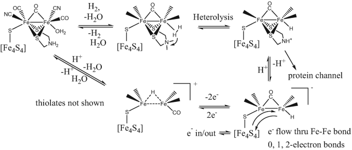 scheme 20