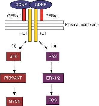 figure 29