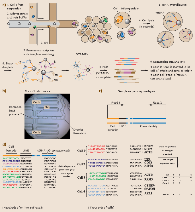 figure 23