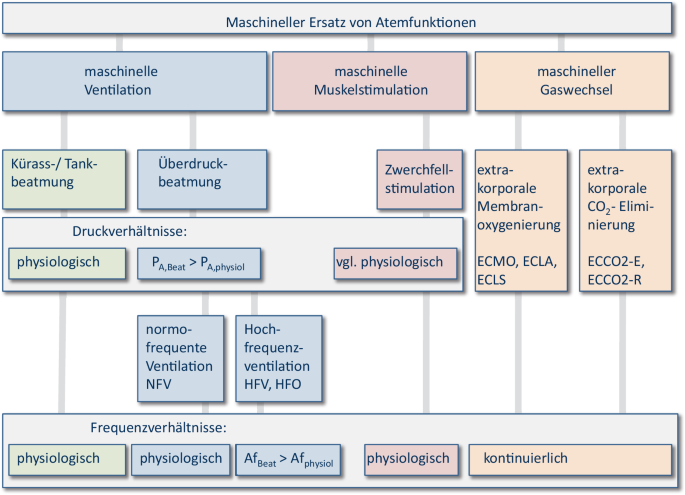 Maschinelle Beatmung und Narkose | Springer Nature Link