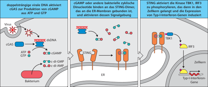 figure 22