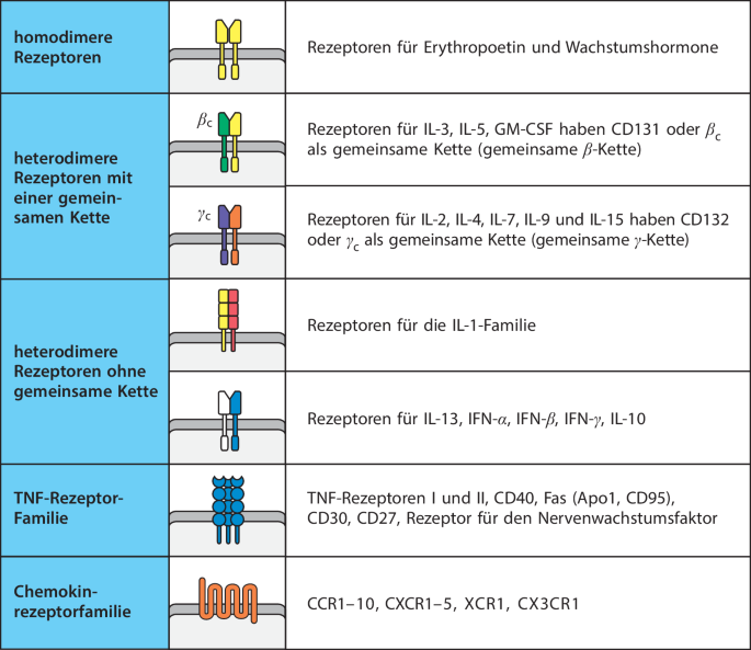 figure 25