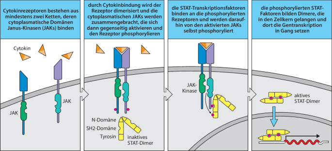 figure 26