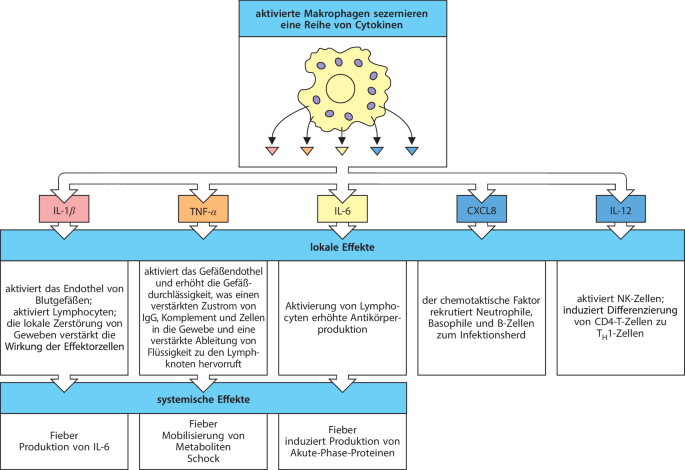 figure 27