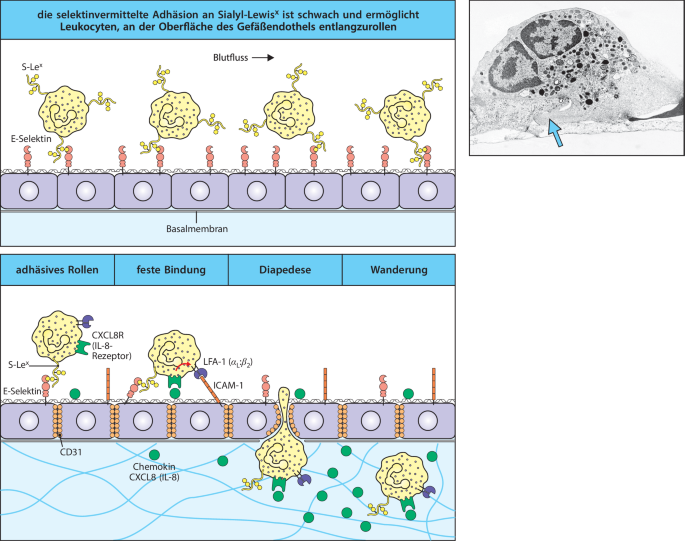 figure 31