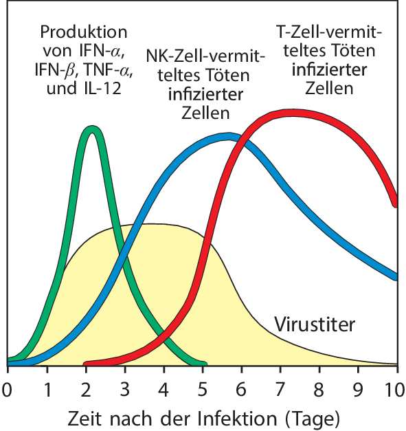 figure 38