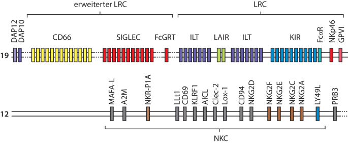 figure 40