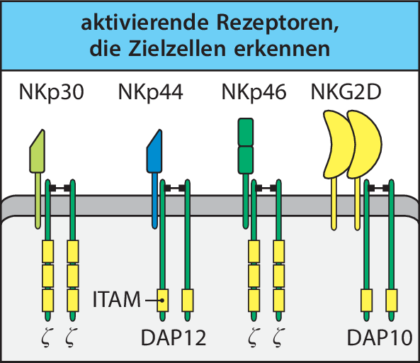 figure 42