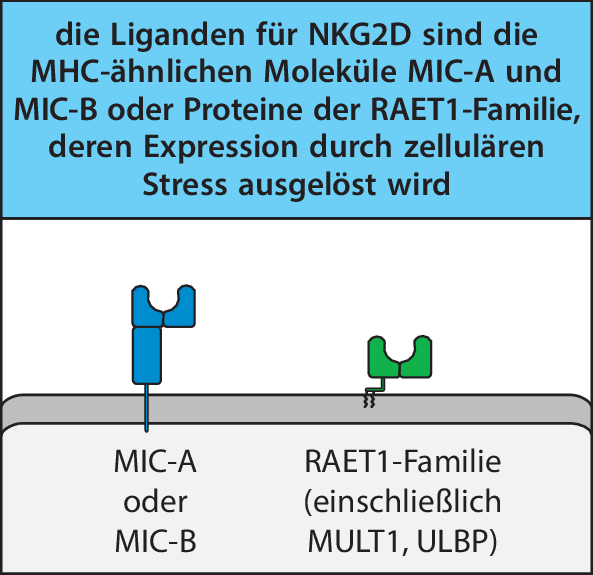 figure 43