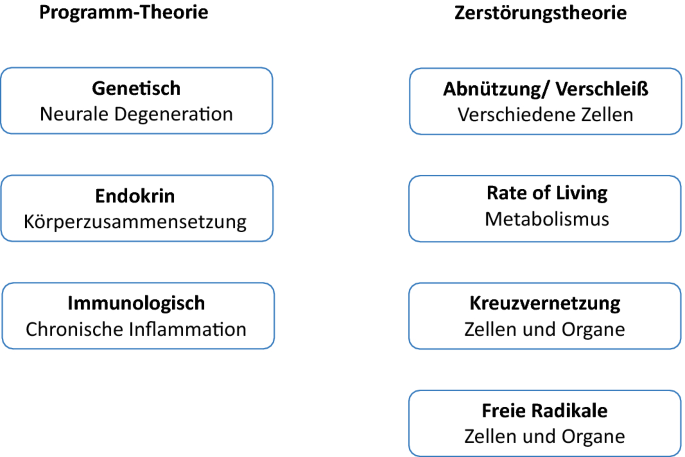Der Einfluss des Alters auf den Körper: Welche Veränderungen treten auf? Der Einfluss des Alters auf den Körper: Welche Veränderungen treten auf?