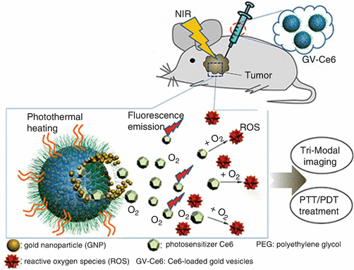 figure 12