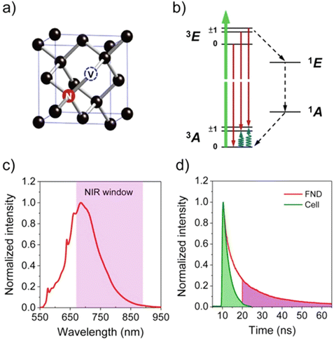 figure 21