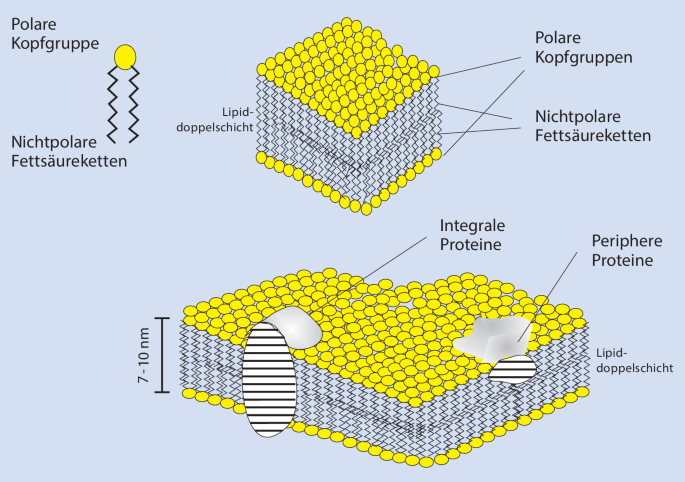 Einführung | SpringerLink image