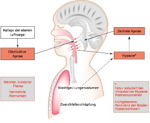 figure 27