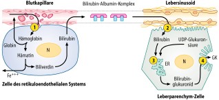 figure 36