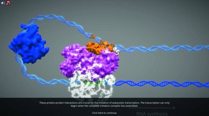 Gene Regulation | SpringerLink