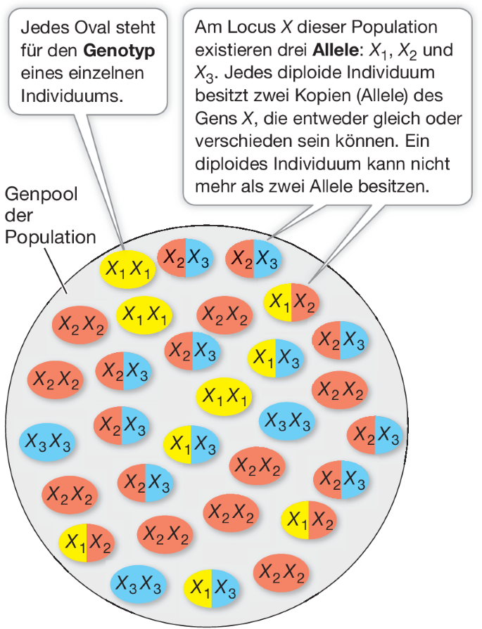 Prozesse der Evolution | Springer Nature Link