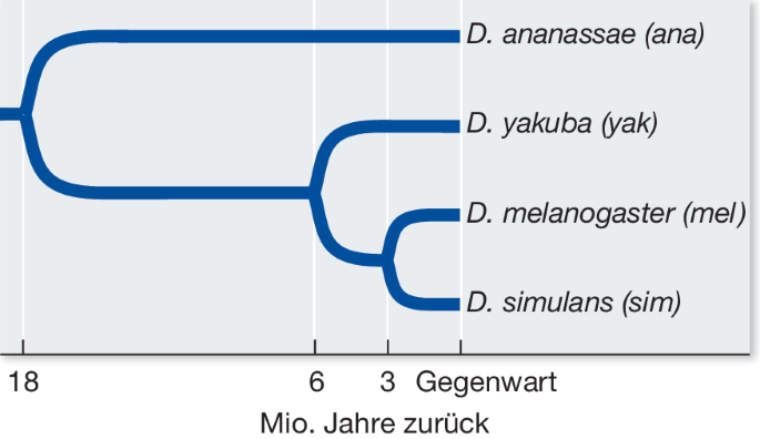 figure c