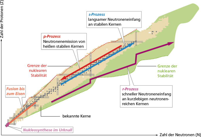 pflanzstbe 200 cm bellissa Pflanzstab 60 cm  8mm  Rasenkante 24