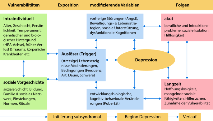 Affektive Störungen am Beispiel der unipolaren Depression | SpringerLink