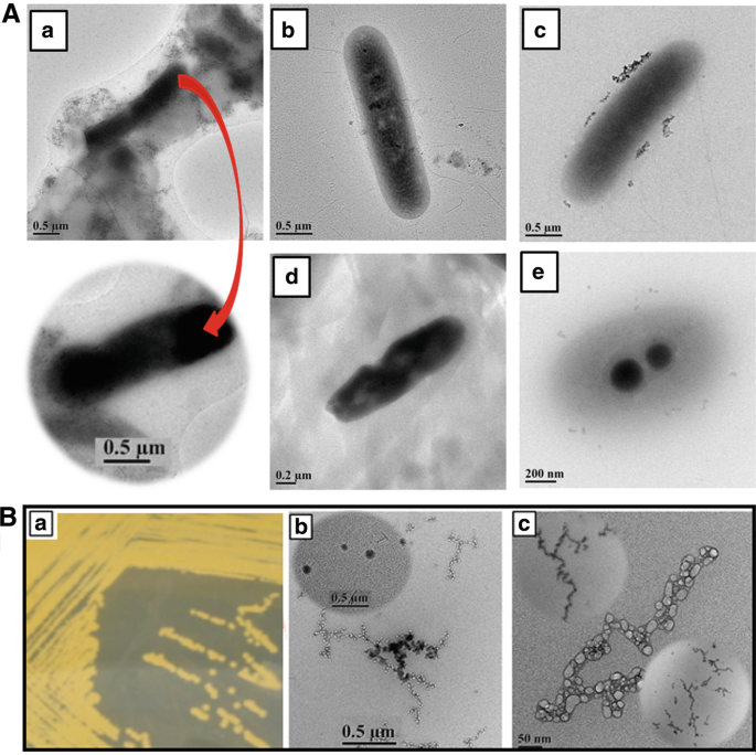 figure 18