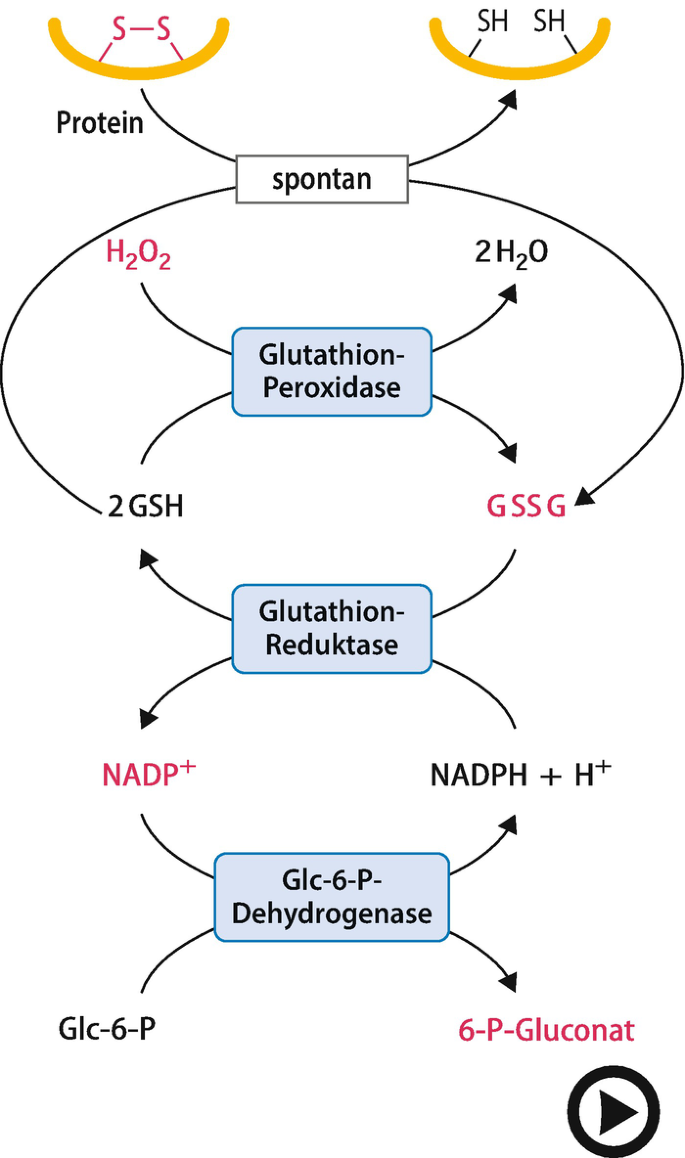 glutathione iv skin save Glutathione Shot