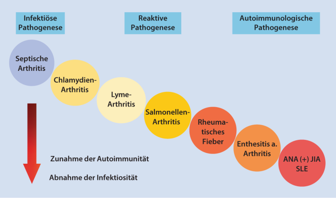 Reaktive Arthritis/Coxitis fugax und infektionsassoziierte Arthritiden bei  Kindern und Jugendlichen | SpringerLink