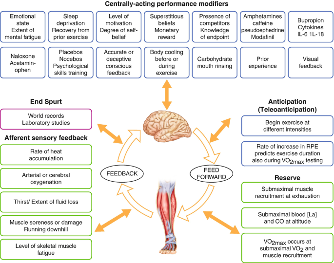 Fatigue and Recovery | SpringerLink