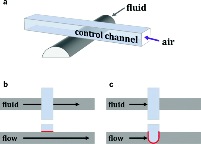 First pictures and impression of DiFluid Microbalance