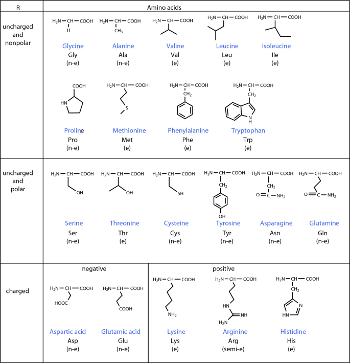 Building Blocks of Life - Amino Acids | SpringerLink