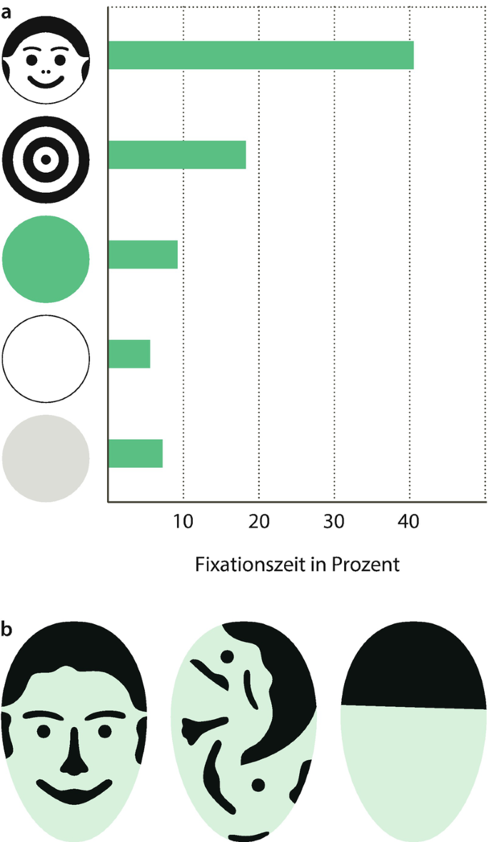 Das Säuglingsalter – Kontaktaufnahme mit der Welt | SpringerLink