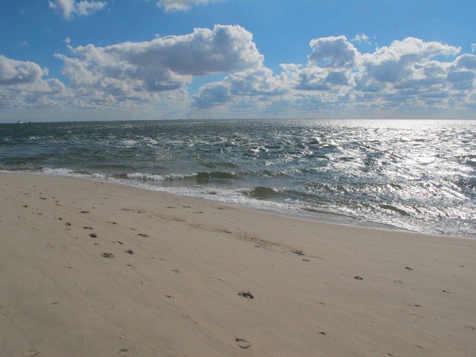 The Beach: Strand nach 3 Jahren wiedereröffnet - [GEO]