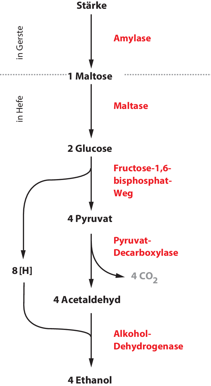 Aktivierung reduktiver Stickstoffspezies durch gepulste Elektrolyse:  Aktuelle Fortschritte und Zukunftsaussichten, image size:673x1233
