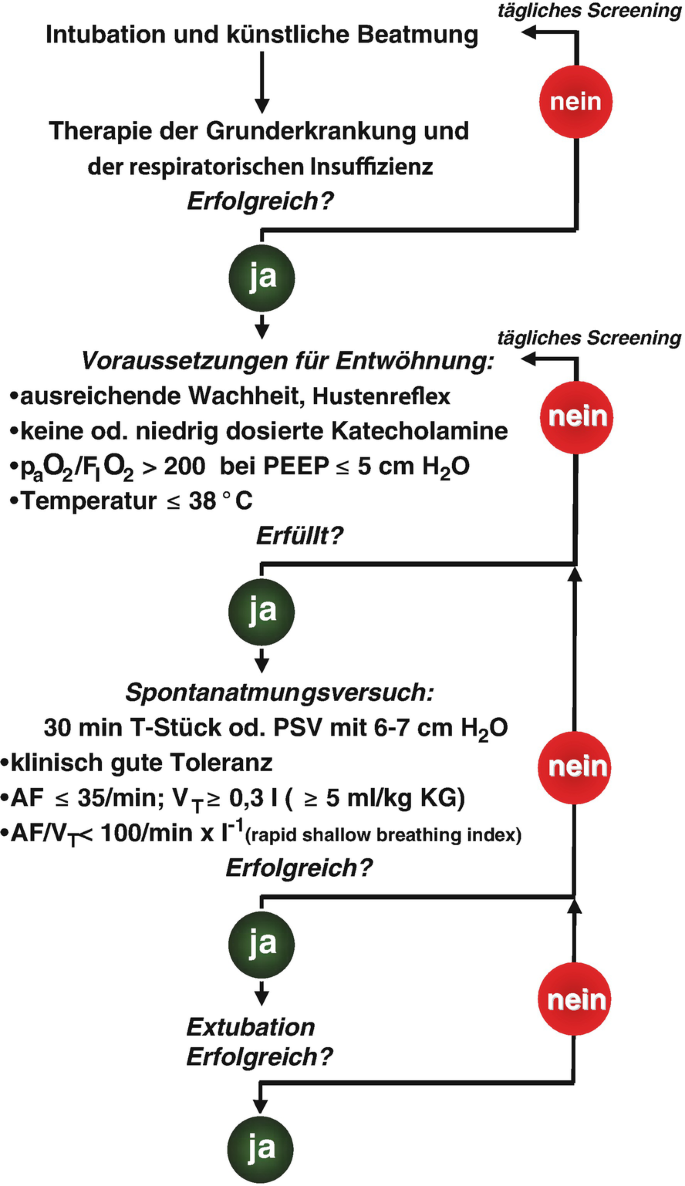 künstliche nägel matt Künstliche selbstklebende Nägel - Matte Balerina Lang main image 1