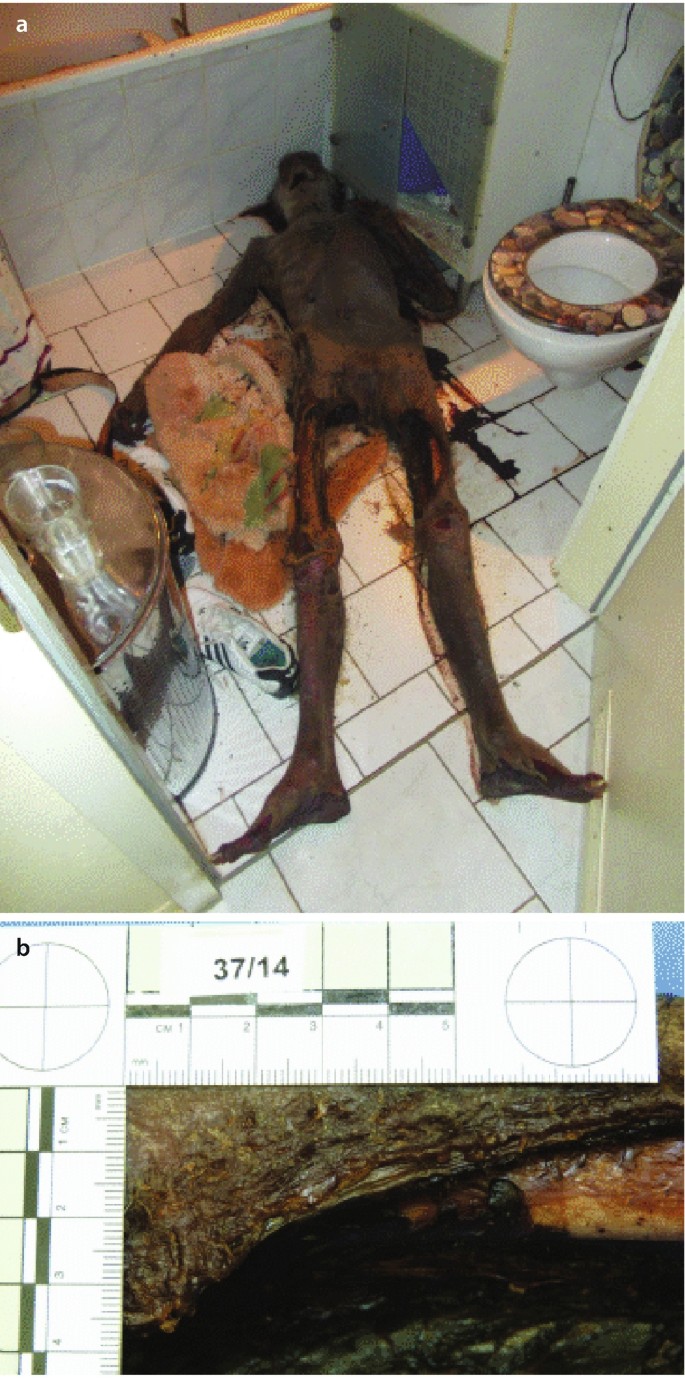 IPO Hundesport (@IPOHundesport) • Facebook, image size:685x1379