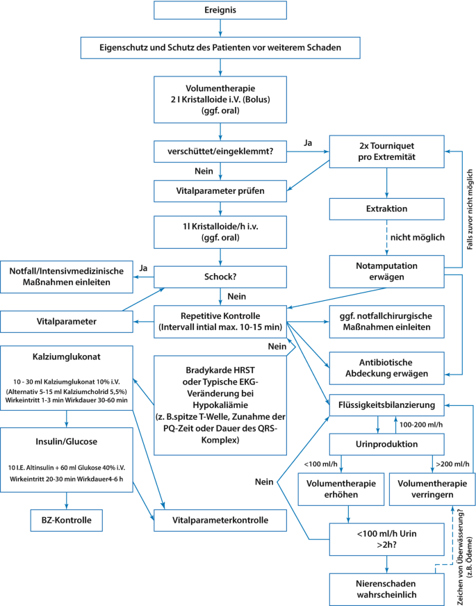 crush-syndrom-springerlink